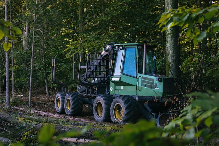 Travaux forestiers à Prodin du 5 septembre au 15 octobre