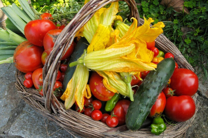 🧺 Paniers solidaires de lĂ©gumes